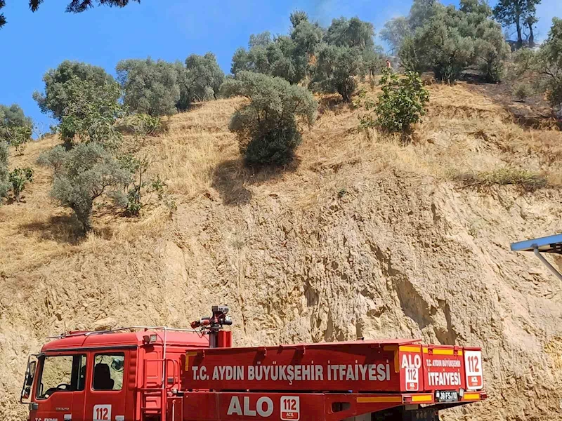 Köşk’teki zirai alan yangını kontrol altına alındı
