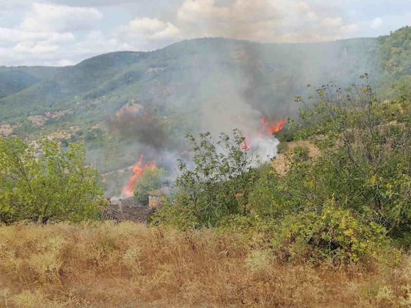 Gönen’de bahçe ve arazi yangını paniğe neden oldu
