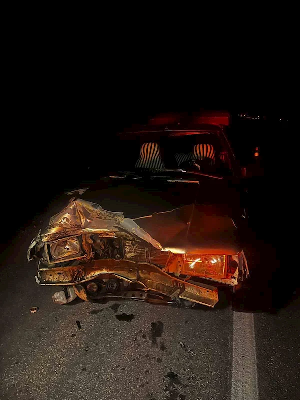 Otomobilin çarptığı domuz telef oldu
