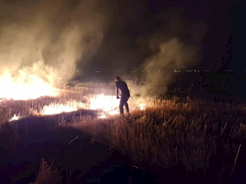 Muş’ta anız yangını korkuttu
