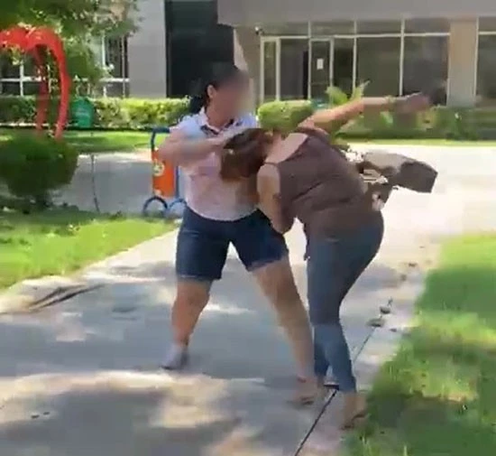 Kocasıyla birlikte parkta bastığı kadını saçından sürükledi
