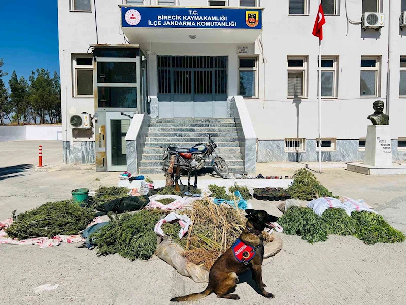 Şanlıurfa’da uyuşturucu operasyonu: 3 gözaltı
