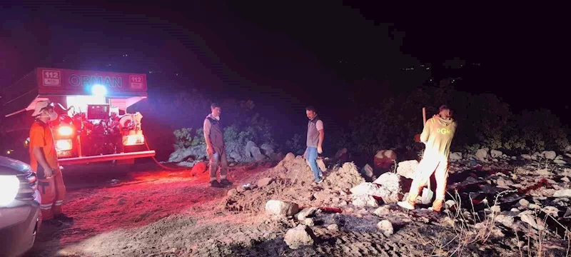 Bingöl’de çıkan orman yangınları kontrol altına alındı
