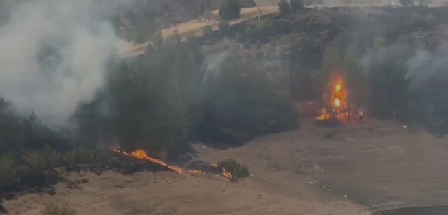 Elazığ’da kırsal alan yangını
