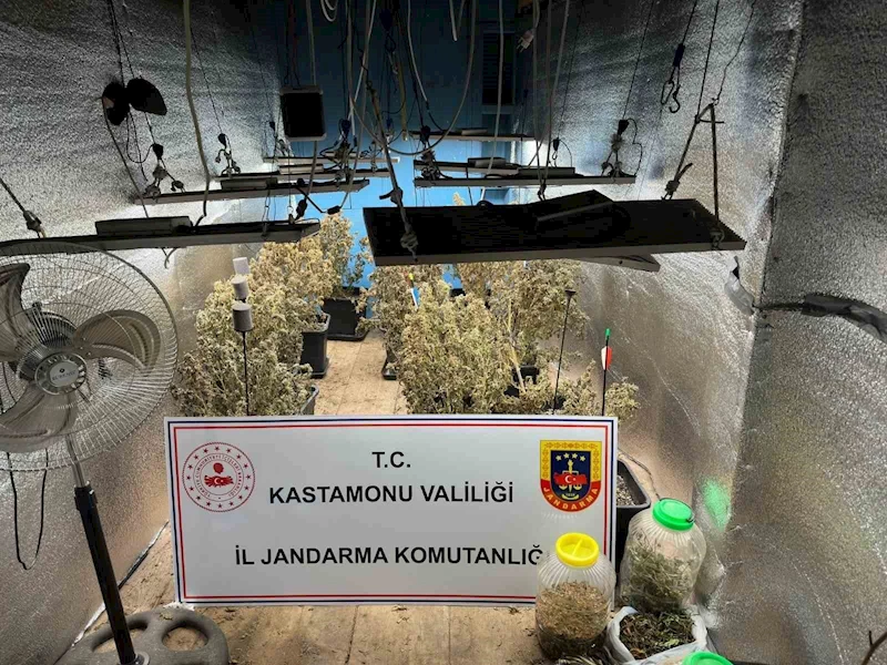 Çiftlik evlerini kenevir yetiştiren sanıklar tahliye edildi
