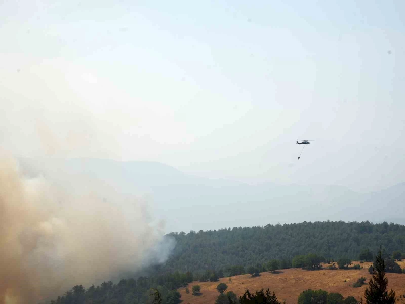 Kastamonu’da orman yangınlarıyla mücadele sürüyor
