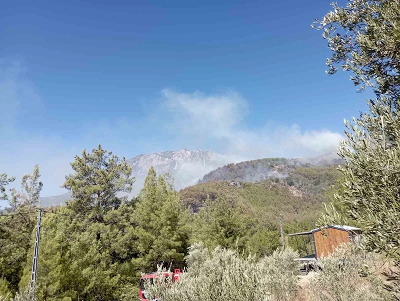 Alanya’da ormanlık alan yangınları kontrol altına alınmaya çalışılıyor

