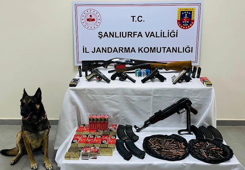 Şanlıurfa’da ruhsatsız silah operasyonu
