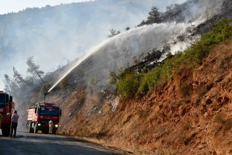 Kepsut yangını kontrol altında

