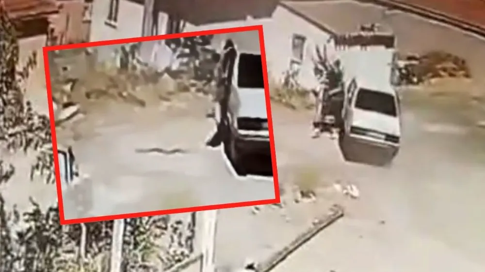 Araçta yılan paniği: Arabayı durdurmadan kendini dışarı attı!