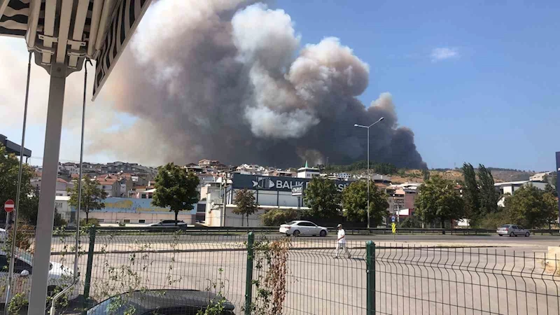 Bursa’da orman yangını
