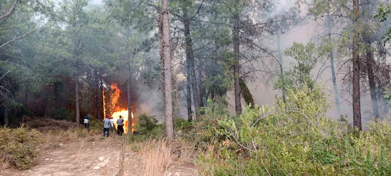 Osmaniye’de orman yangını başladı
